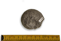 F 10049
<br/>
<br/>
<em></em>